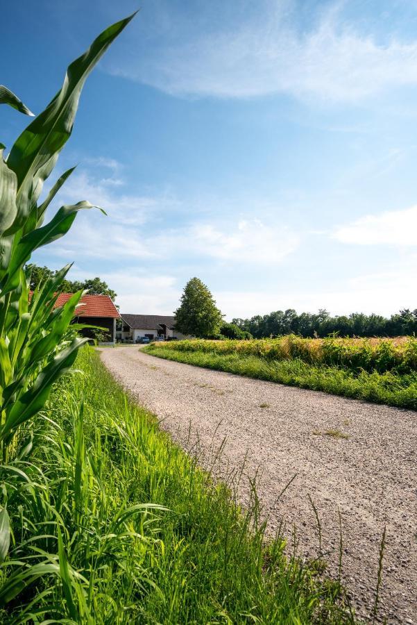 Ferienwohnung Bichler Altötting Buitenkant foto